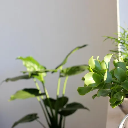 Seeblick25 - - Balkony - Wifi - Great View - New & Modern