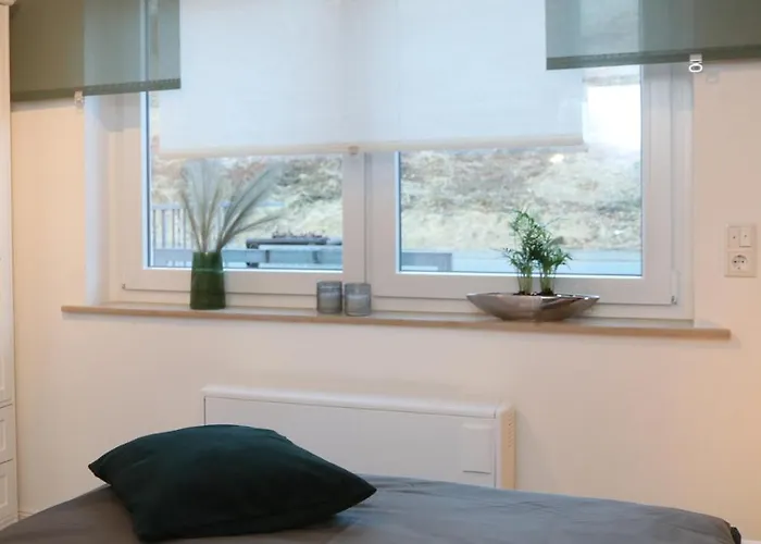 Seeblick25 - - Balkony - Wifi - Great View - New & Modern Apartment Winterberg