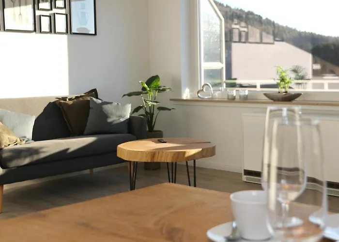 Seeblick25 - - Balkony - Wifi - Great View - New & Modern Apartment Winterberg