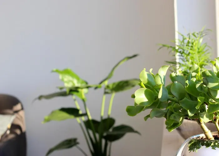 Seeblick25 - - Balkony - Wifi - Great View - New & Modern